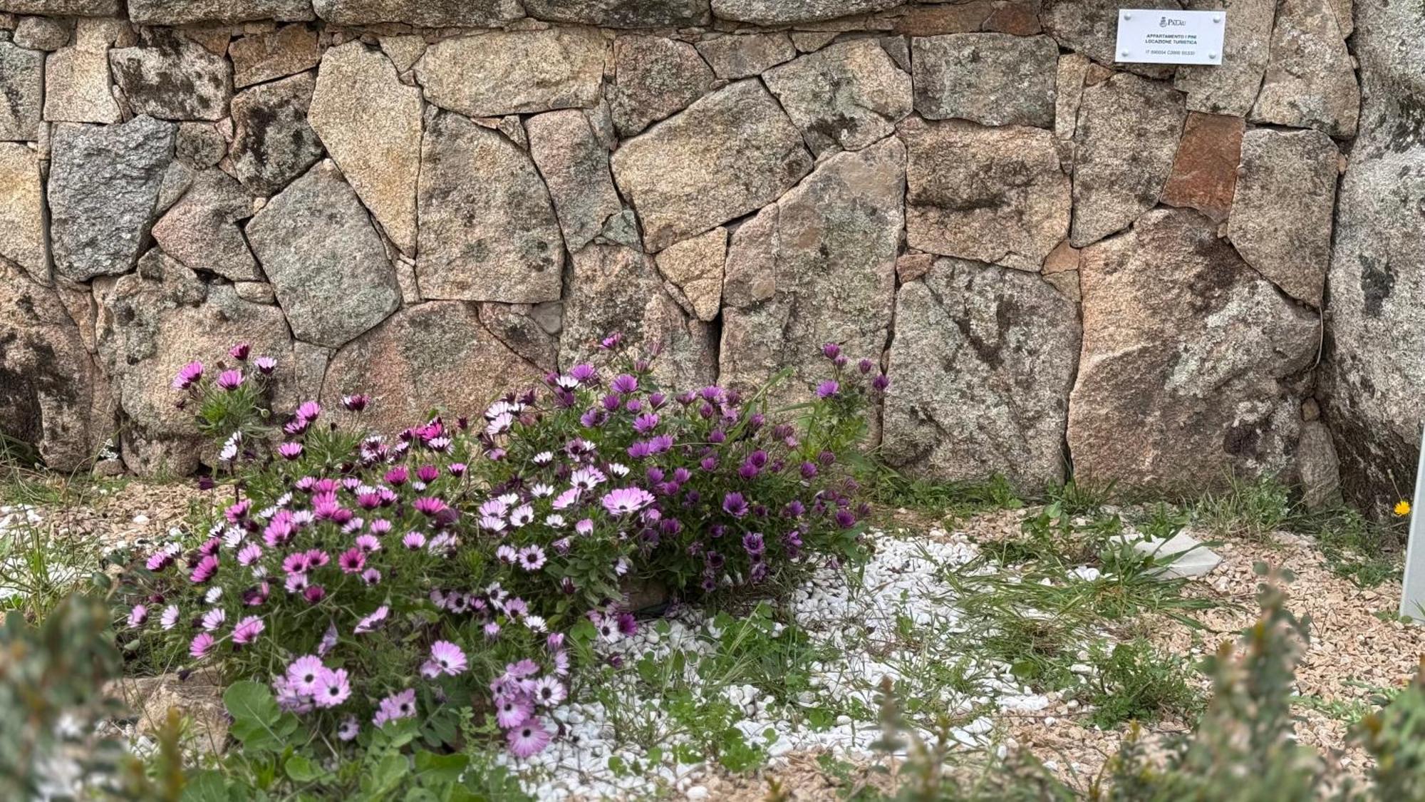 Appartamento I Pini Palau Εξωτερικό φωτογραφία